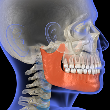 Illustration of a side profile of a head with the jawbone highlighted